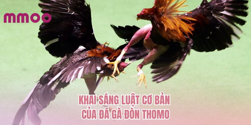 Khai sáng luật cơ bản của đá gà đòn Thomo